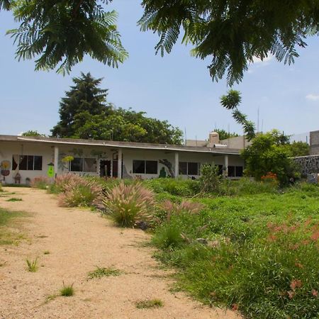 Casa De Huespedes Colmena Hotel Tlayacapan Ngoại thất bức ảnh